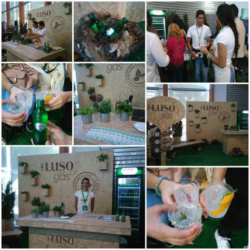 14525130_1204296512975843_6932034845477776526_o